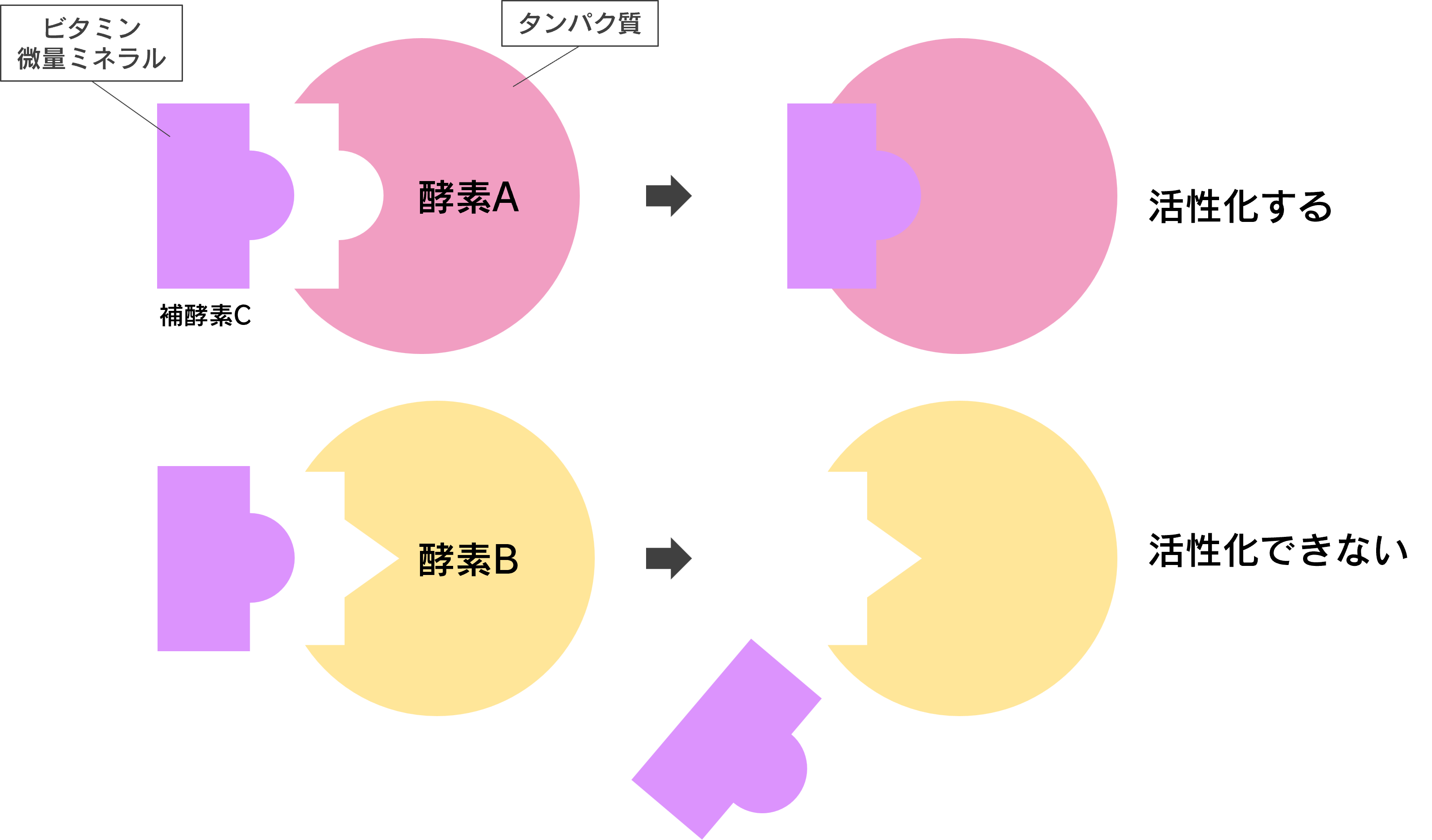 分子栄養学タイムズ】子供の栄養「微量ミネラル」
